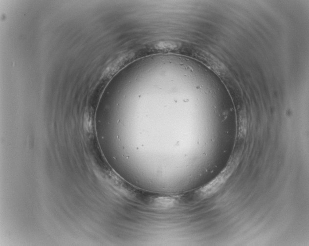 X0000057100176200510071946