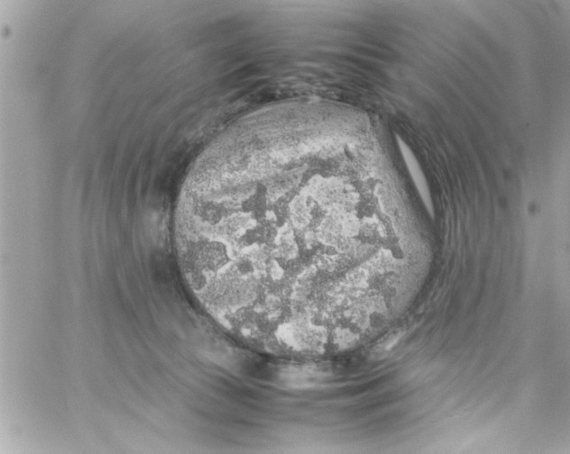 X0000057100177200510071946