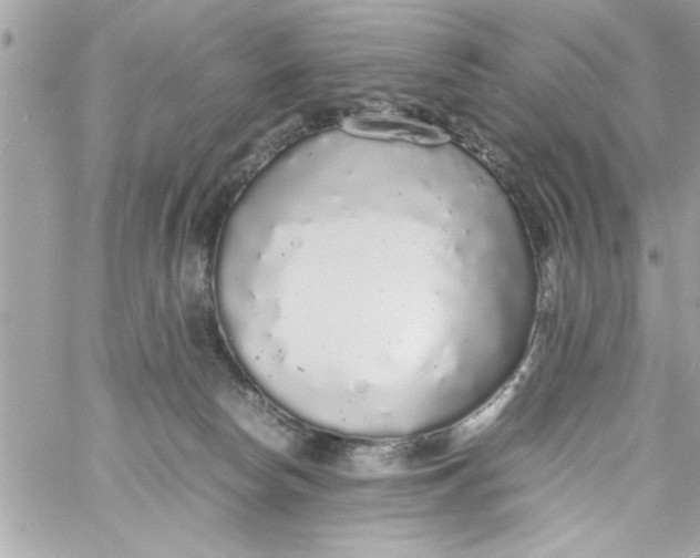 X0000057100178200510071946