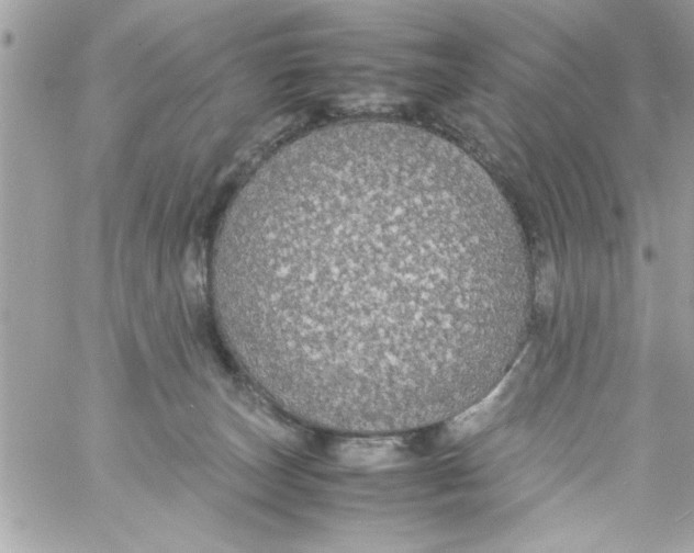 X0000057100179200510071946