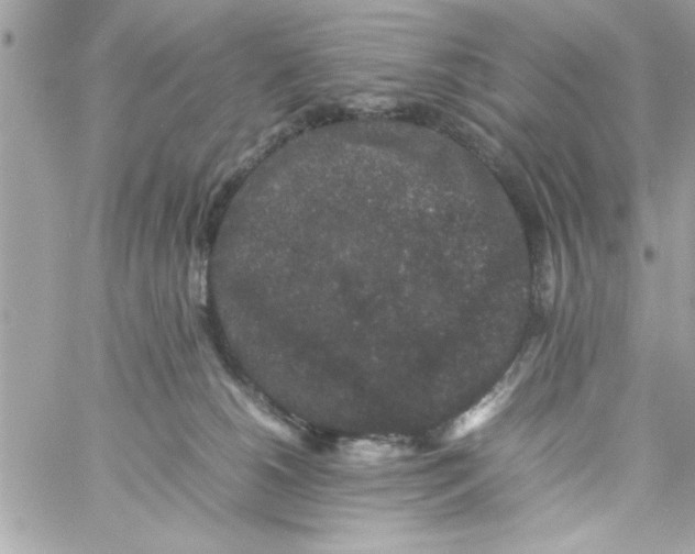 X0000057100180200510071946