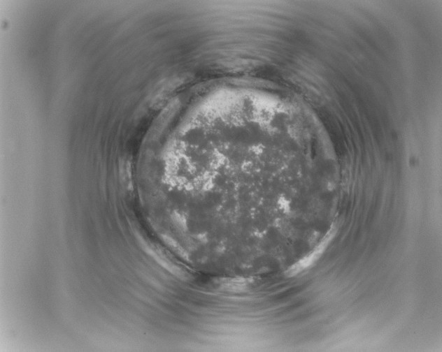 X0000057100182200510071946