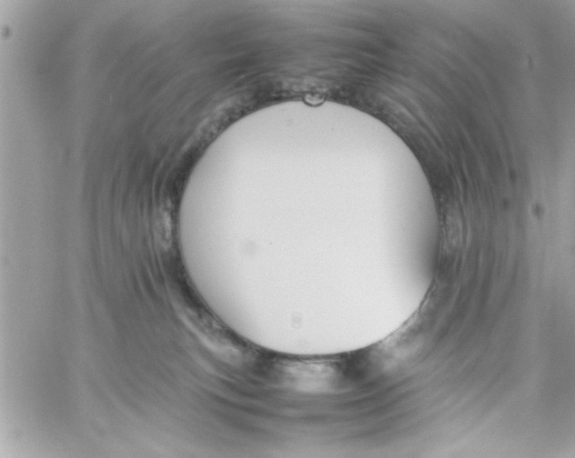 X0000057100183200510071947