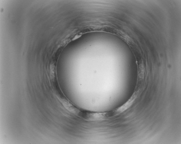 X0000057100184200510071947