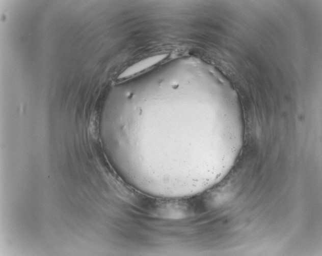 X0000057100185200510071947