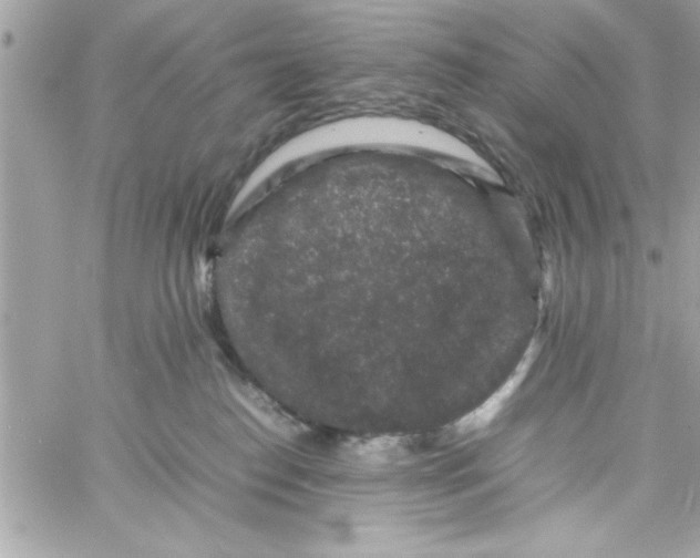 X0000057100186200510071947