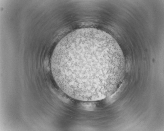 X0000057100187200510071947