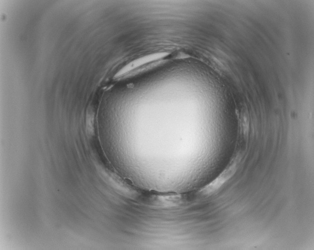 X0000057100188200510071947