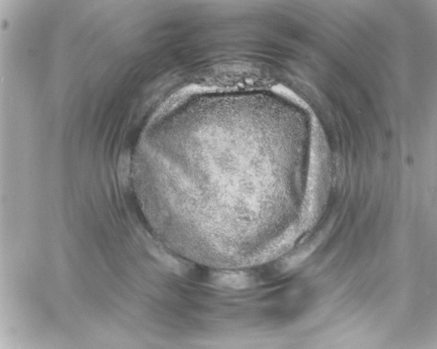 X0000057100189200510071947