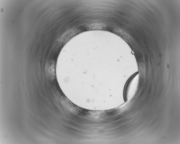 X0000057100190200510071947