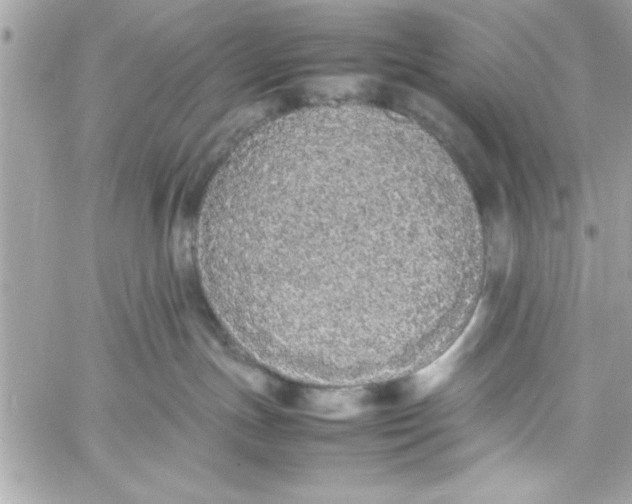 X0000057100191200510071947