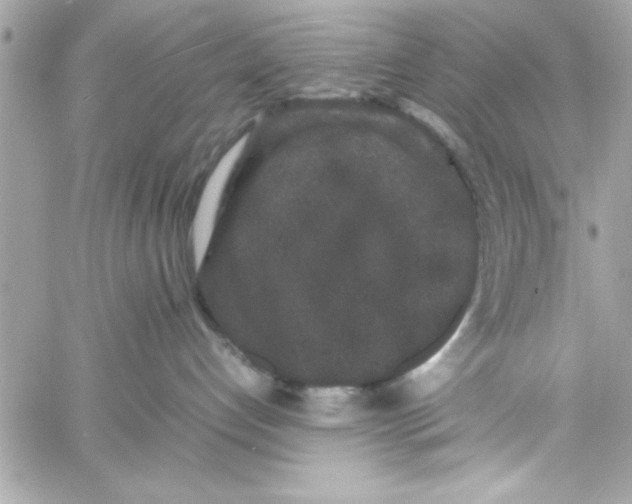 X0000057100192200510071947