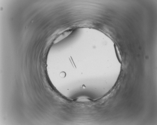 X0000057100193200510071946