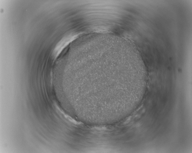 X0000057100194200510071946