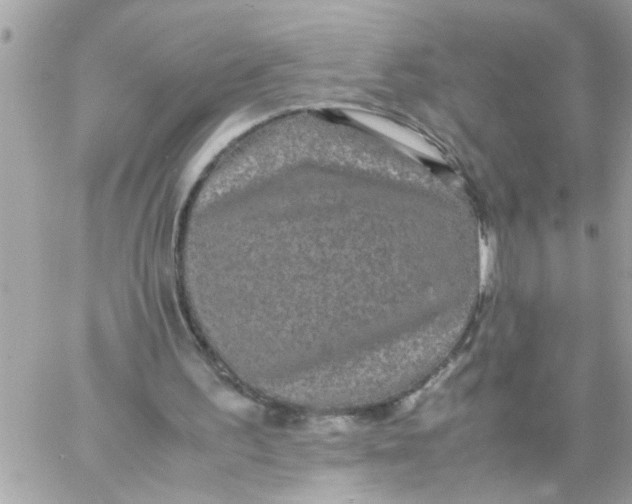 X0000057100195200510071946