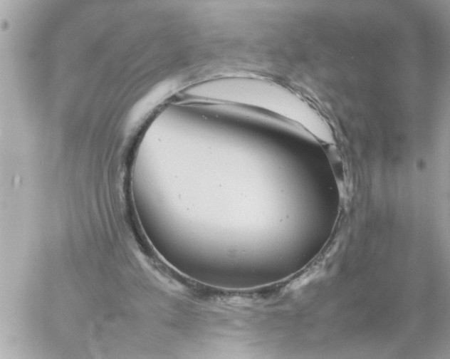 X0000057100197200510071946