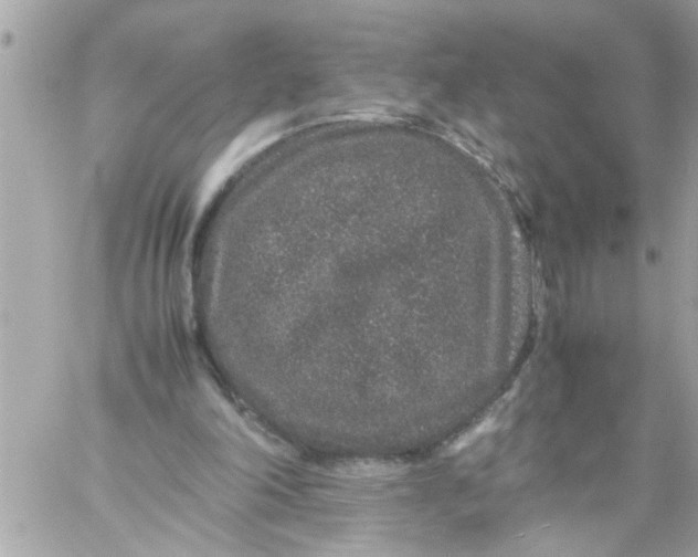 X0000057100198200510071946