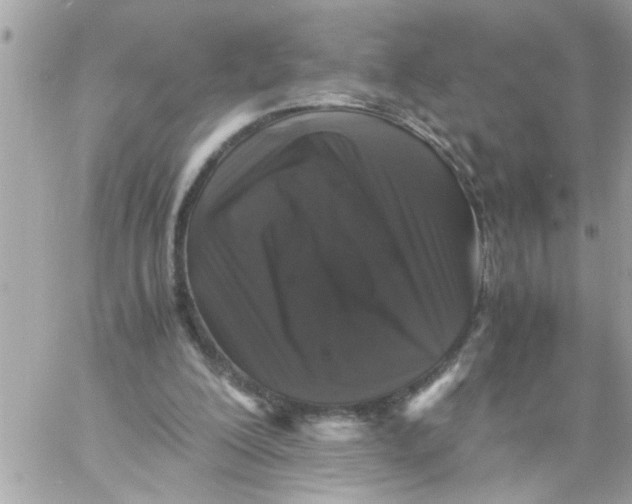 X0000057100200200510071946