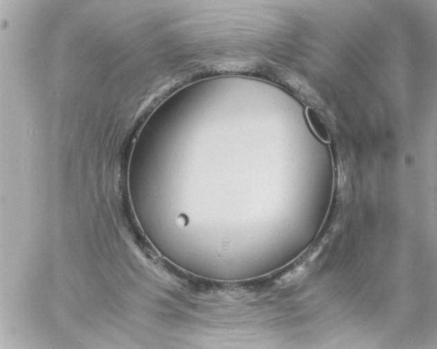 X0000057100201200510071946