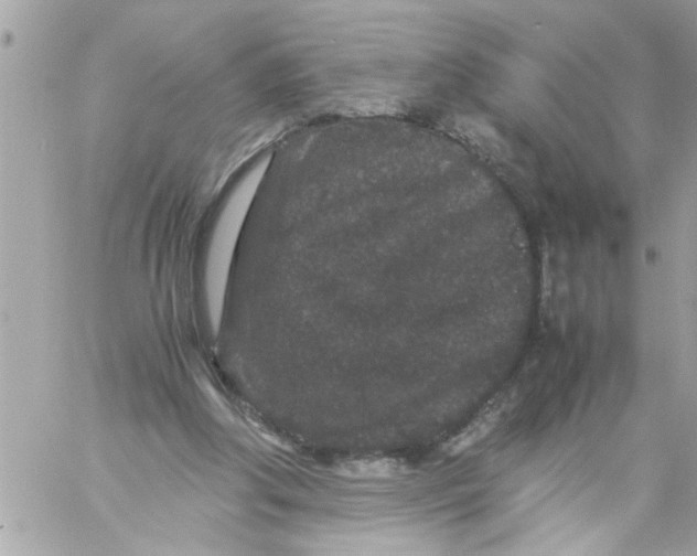 X0000057100202200510071946