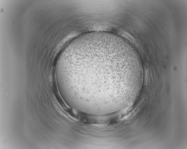 X0000057100203200510071946