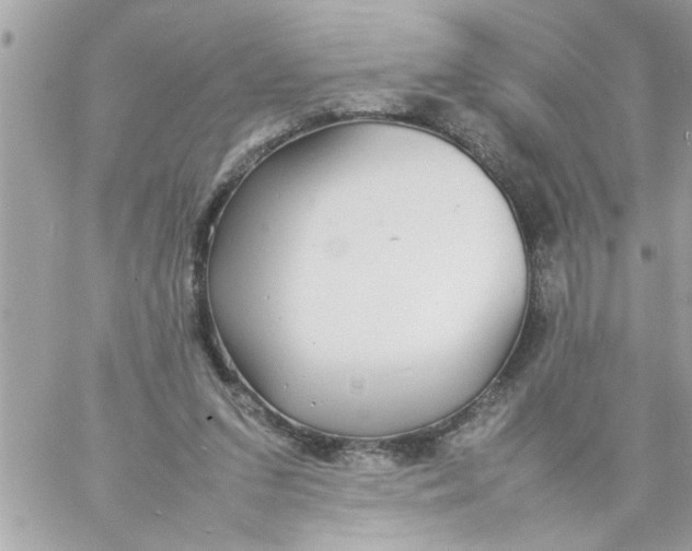 X0000057100207200510071946