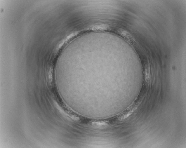 X0000057100208200510071946