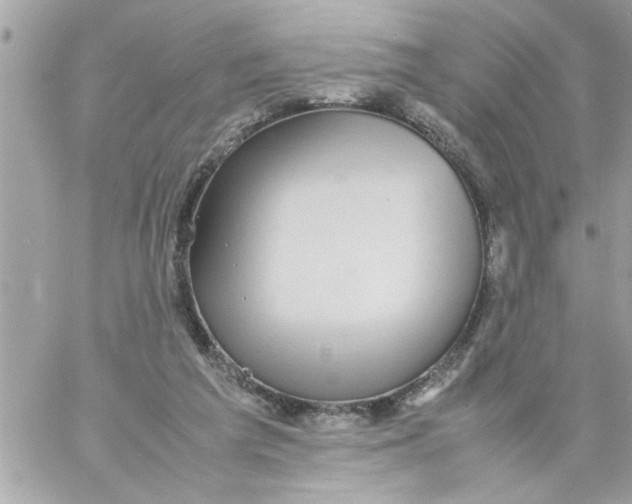 X0000057100209200510071946