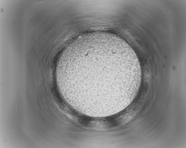 X0000057100211200510071946