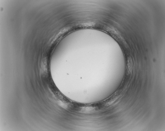 X0000057100212200510071946