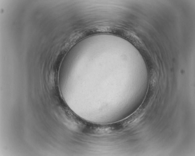 X0000057100213200510071946