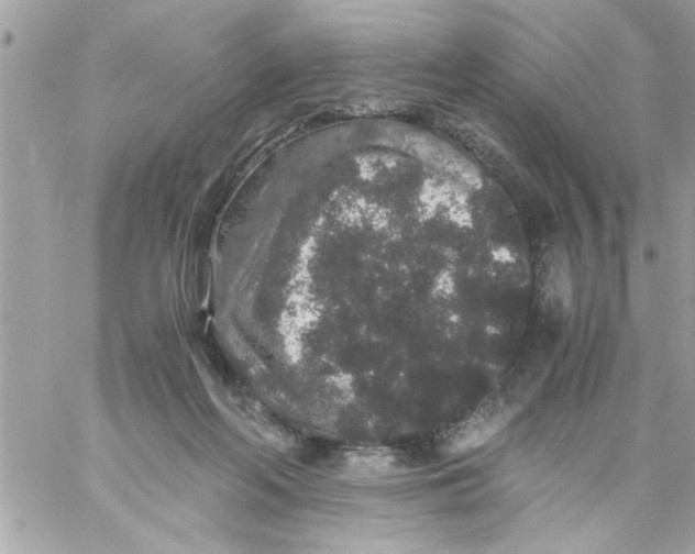 X0000057100214200510071946