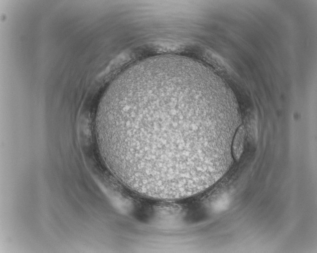 X0000057100215200510071945