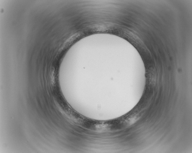 X0000057100216200510071945