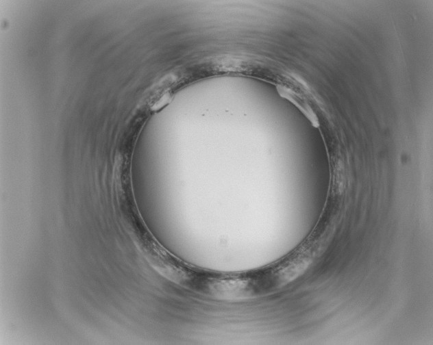 X0000057100217200510071945