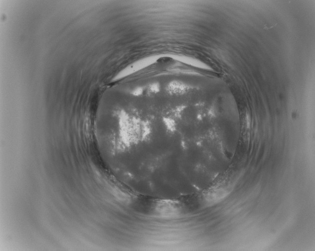 X0000057100222200510071945