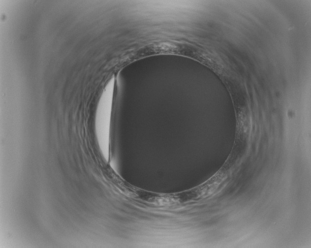 X0000057100223200510071945