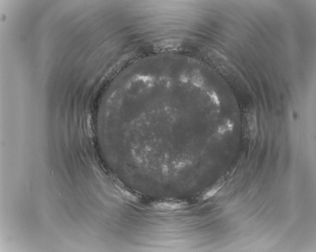 X0000057100224200510071945