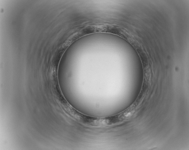 X0000057100225200510071945