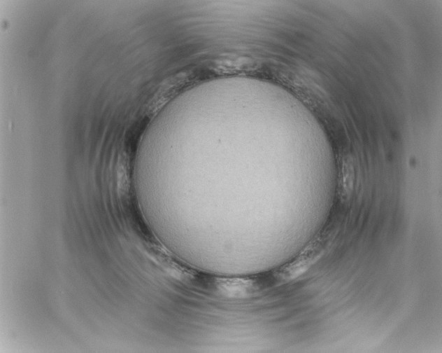 X0000057100226200510071945