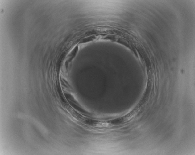 X0000057100227200510071945