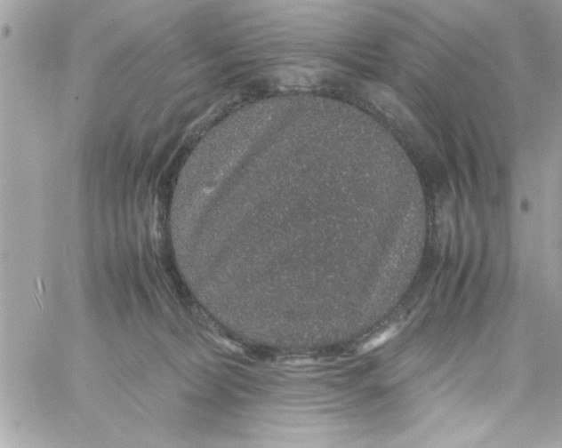 X0000057100228200510071945