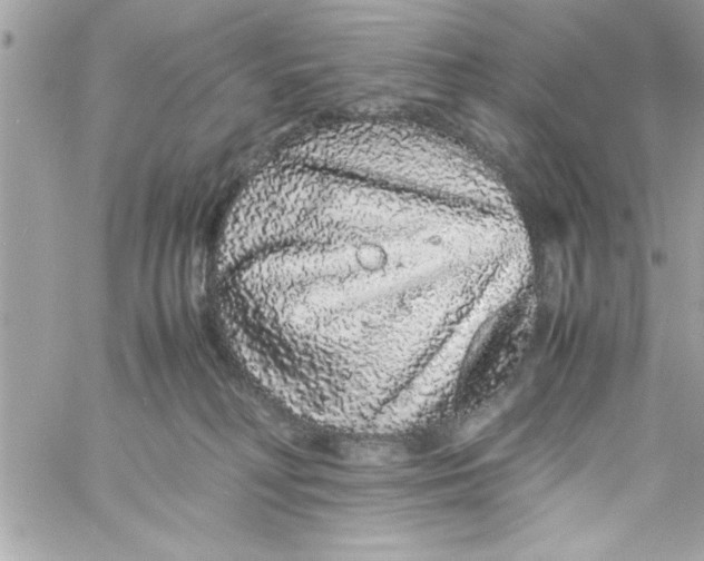 X0000057100230200510071945