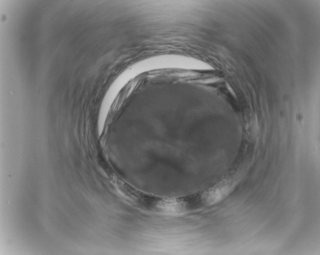 X0000057100231200510071945