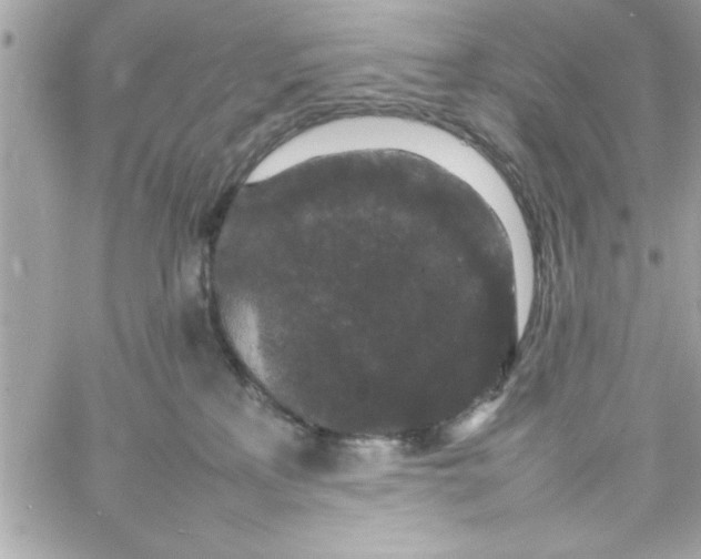 X0000057100233200510071945