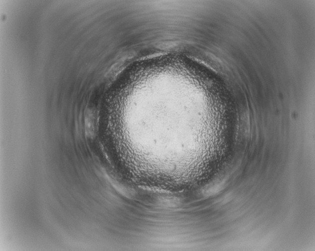 X0000057100234200510071945