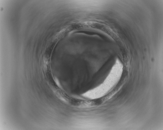 X0000057100235200510071945