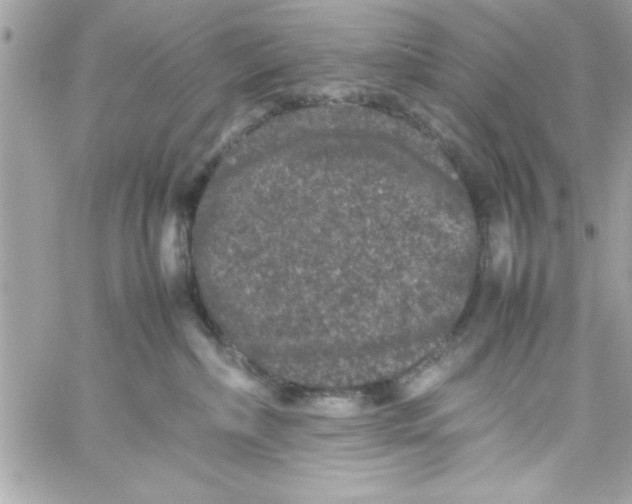 X0000057100236200510071945