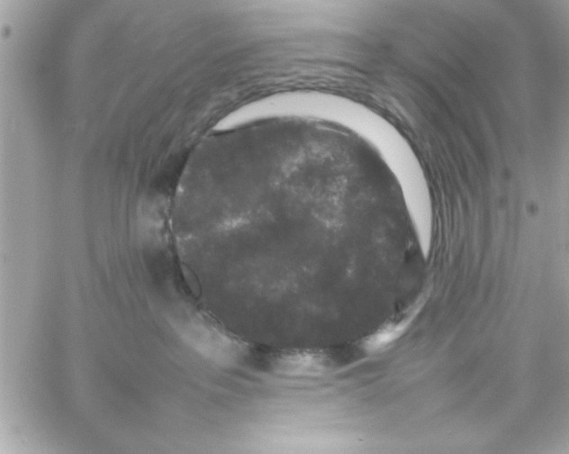 X0000057100237200510071945