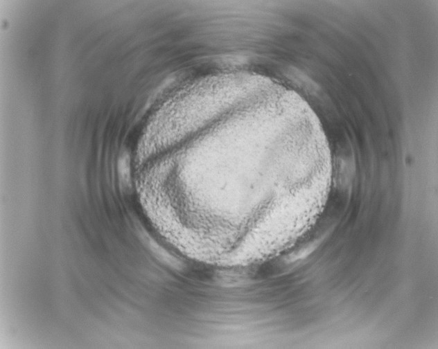 X0000057100238200510071945